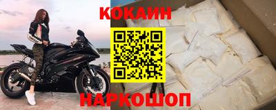 шишки Изобильный