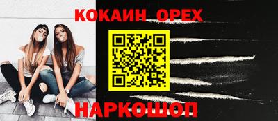 шишки Изобильный