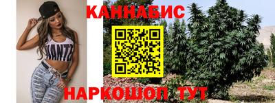 шишки Изобильный