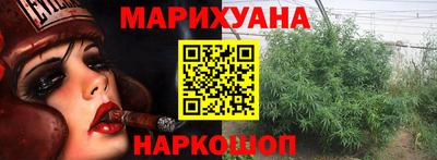 шишки Изобильный