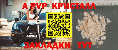 шишки Изобильный