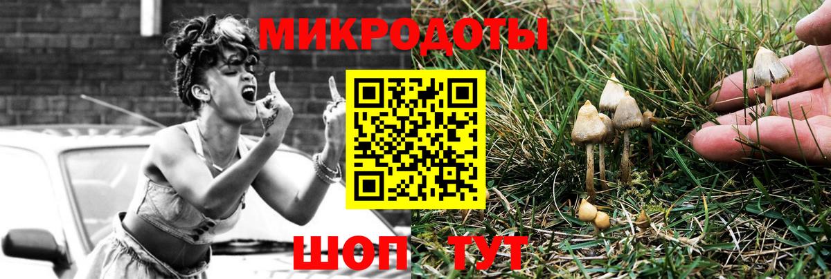 Галлюциногенные грибы Psilocybe  Вход с VPN  Псилоцибиновые грибы MAGIC MUSHROOMS  Махачкала 