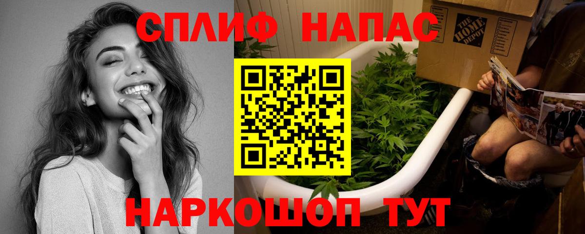Марихуана план Махачкала